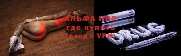 амф Аркадак